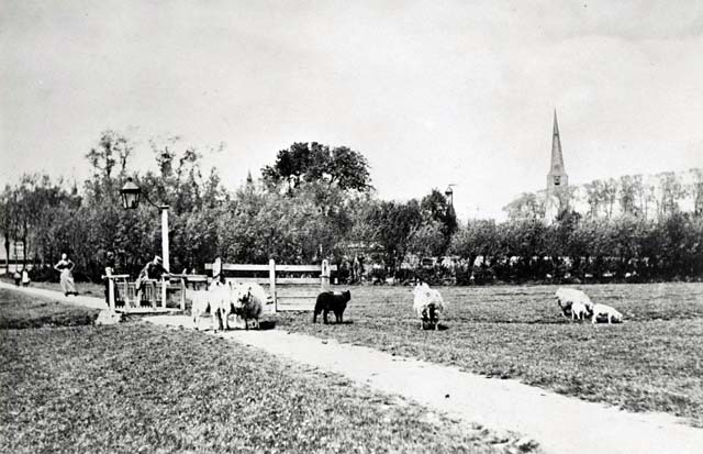 Hammerdreef. Einde vroegere Kerklaan, grasland van fam. Ammerlaan (ca. 1900)